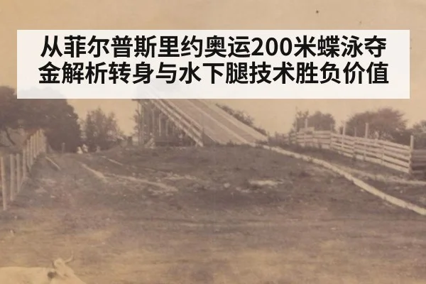 从菲尔普斯里约奥运200米蝶泳夺金解析转身与水下腿技术胜负价值
